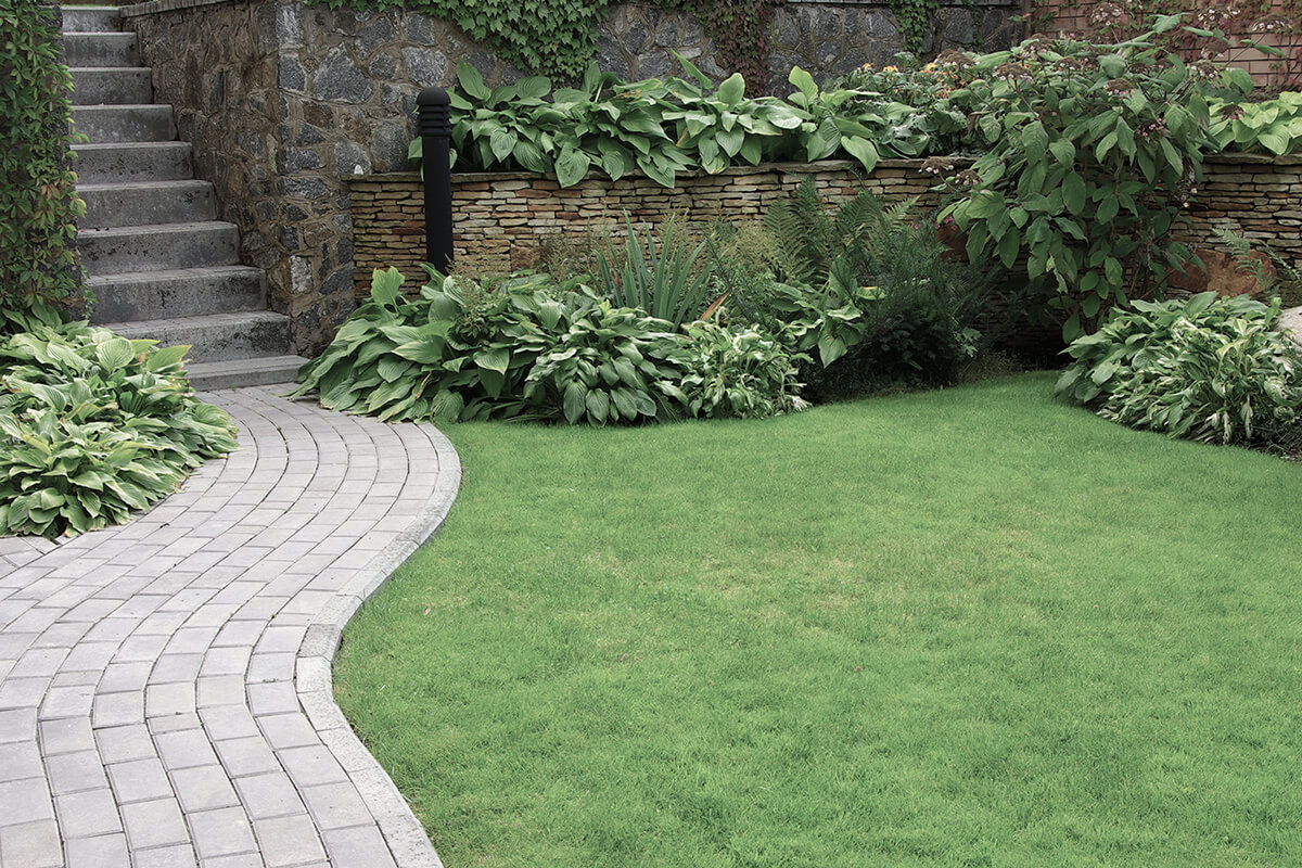 Welcome to Platinum Landscaping